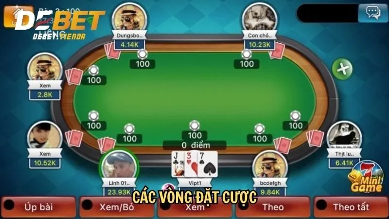Các vòng đặt cược