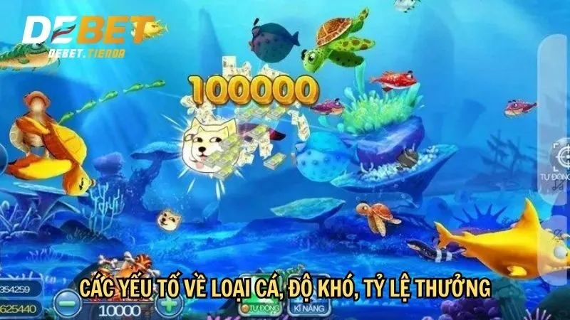 Các yếu tố về loại cá, độ khó, tỷ lệ thưởng