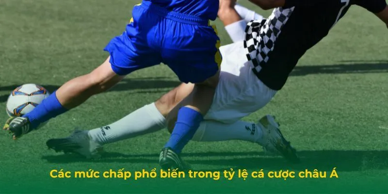 Các mức chấp phổ biến trong tỷ lệ cá cược châu Á