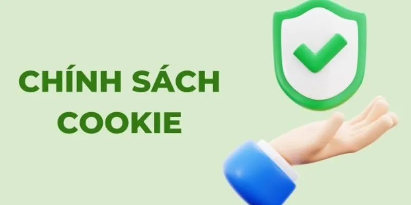 Chi tiết chính sách cookie Debet