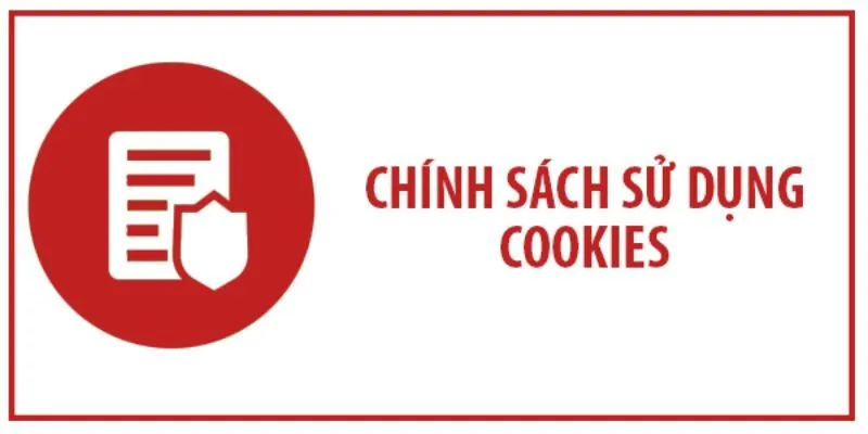 Giới thiệu chính sách cookie