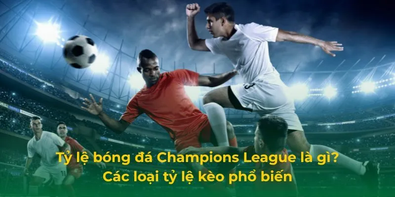Tỷ lệ bóng đá Champions League là gì? Các loại tỷ lệ kèo phổ biến