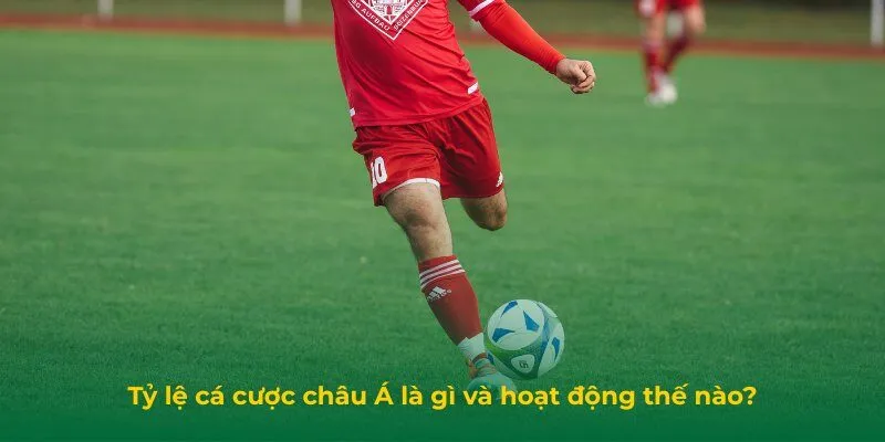 Tỷ lệ cá cược châu Á là gì và hoạt động thế nào?