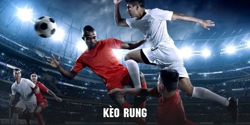 Các yếu tố tác động đến kết quả đầu tư của bạn 